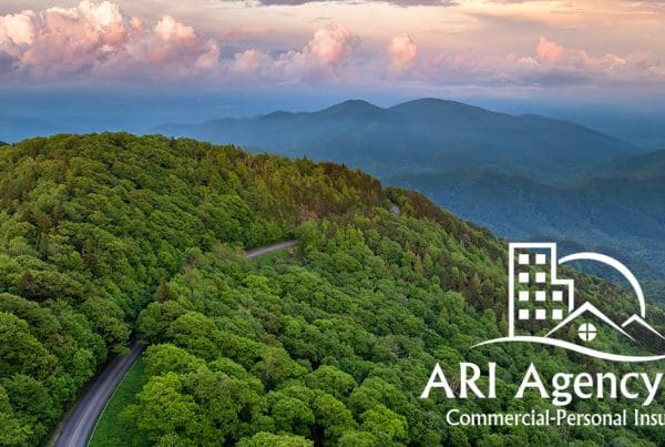 ARI Agency Inc - Open Graph